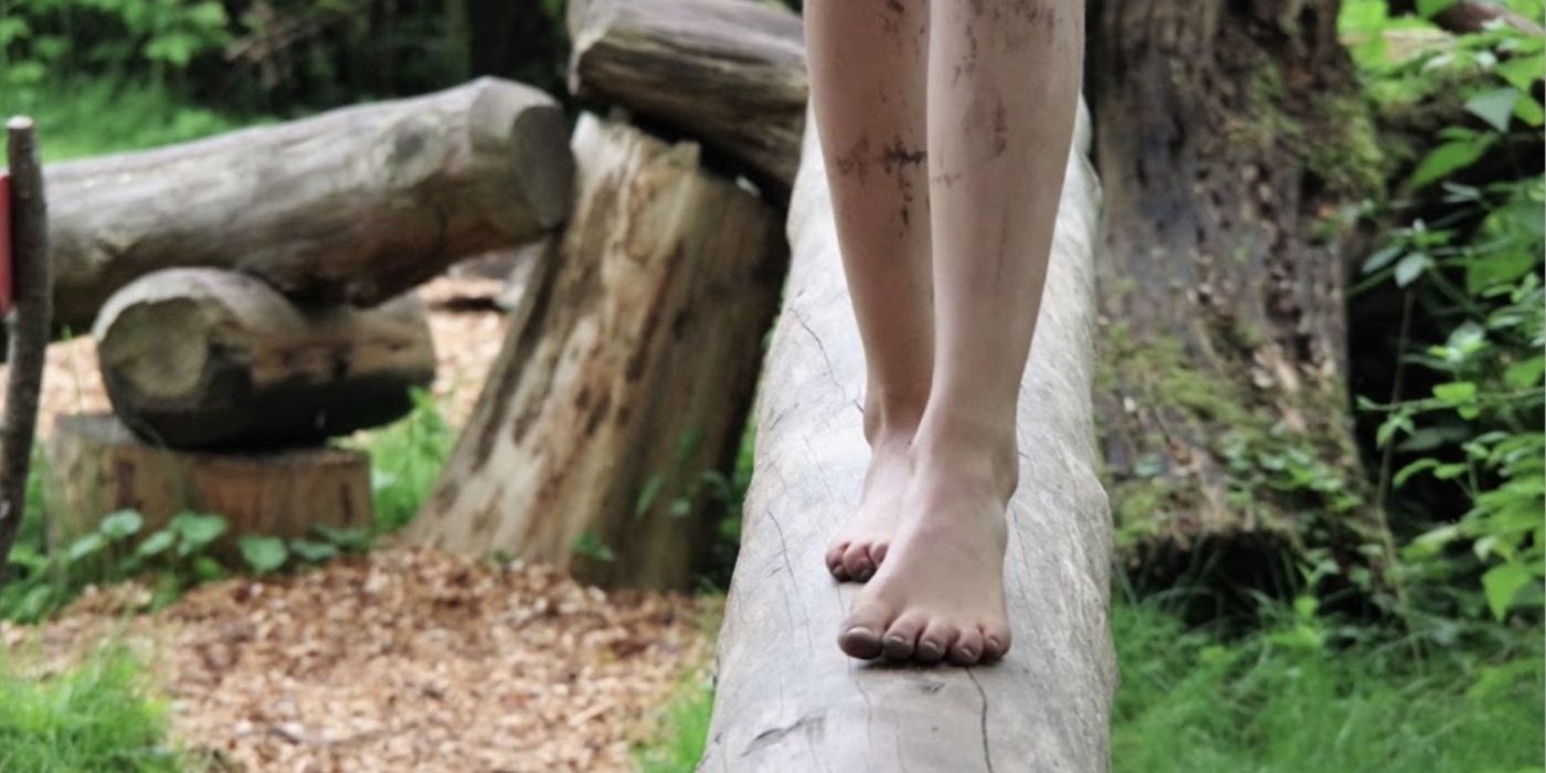 Barfußpfad über Baumstämme im Barfußland Todesfelde
